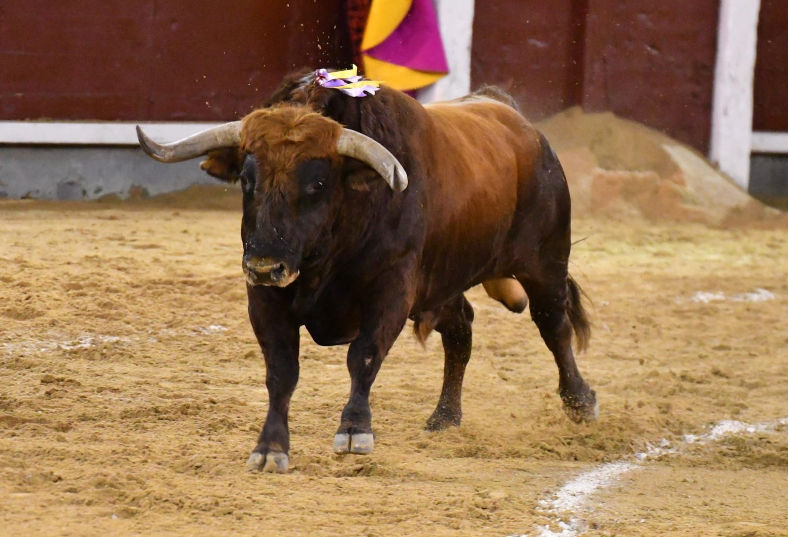 WhatsApp Image 2026 03 22 at 22.02.47