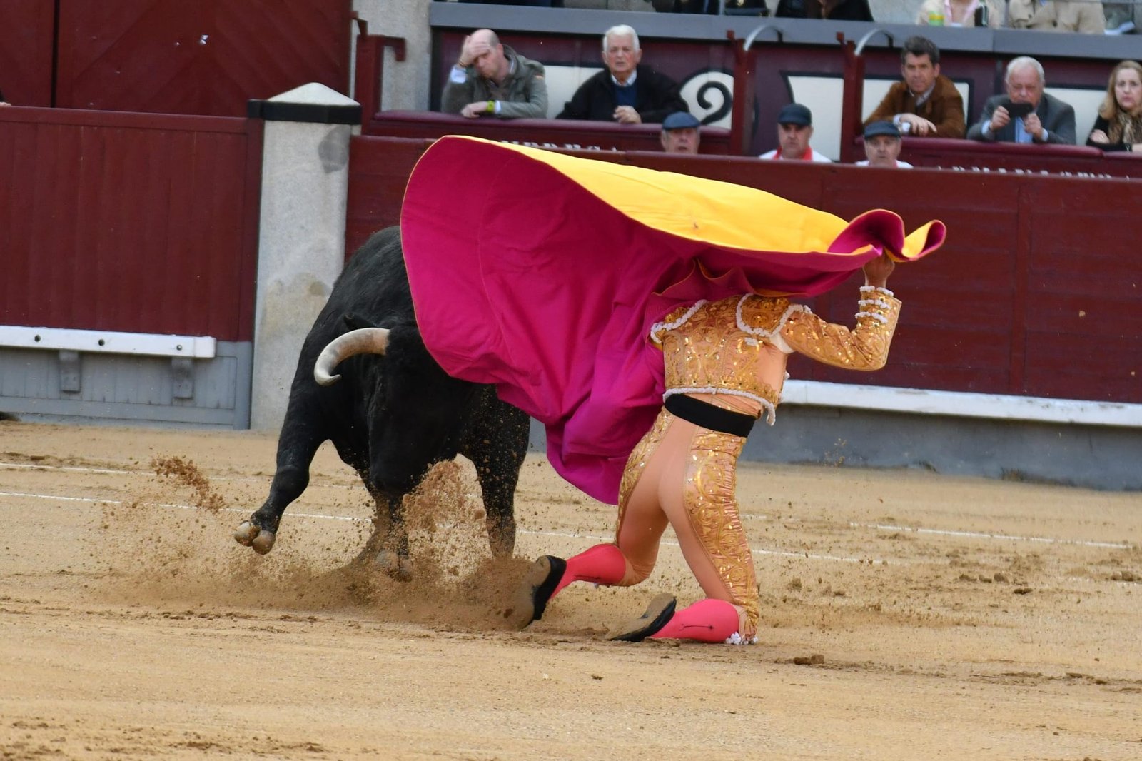 WhatsApp Image 2026 03 22 at 22.02.48