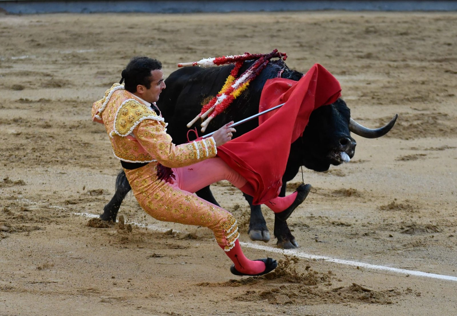 WhatsApp Image 2026 03 22 at 22.02.49 1