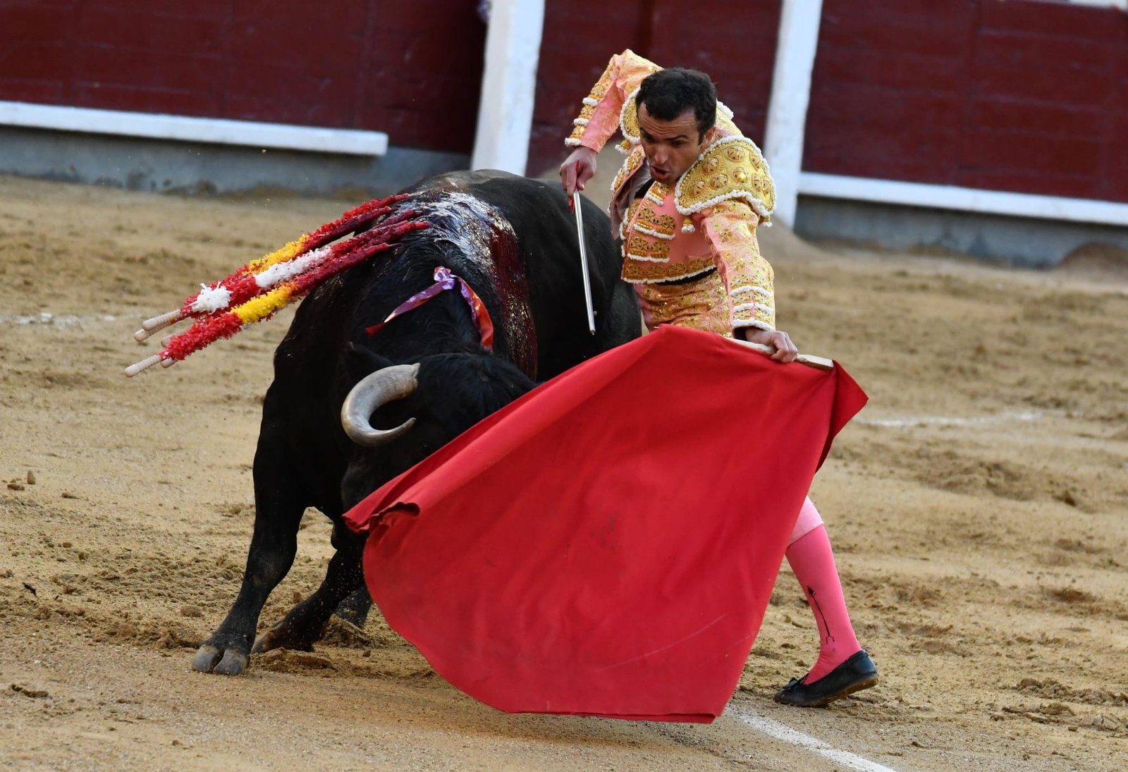 WhatsApp Image 2026 03 22 at 22.02.49