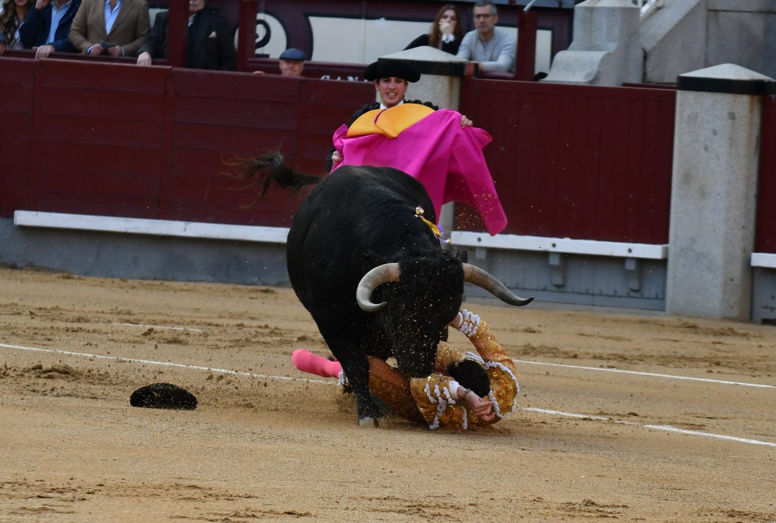 WhatsApp Image 2026 03 22 at 22.02.50 1