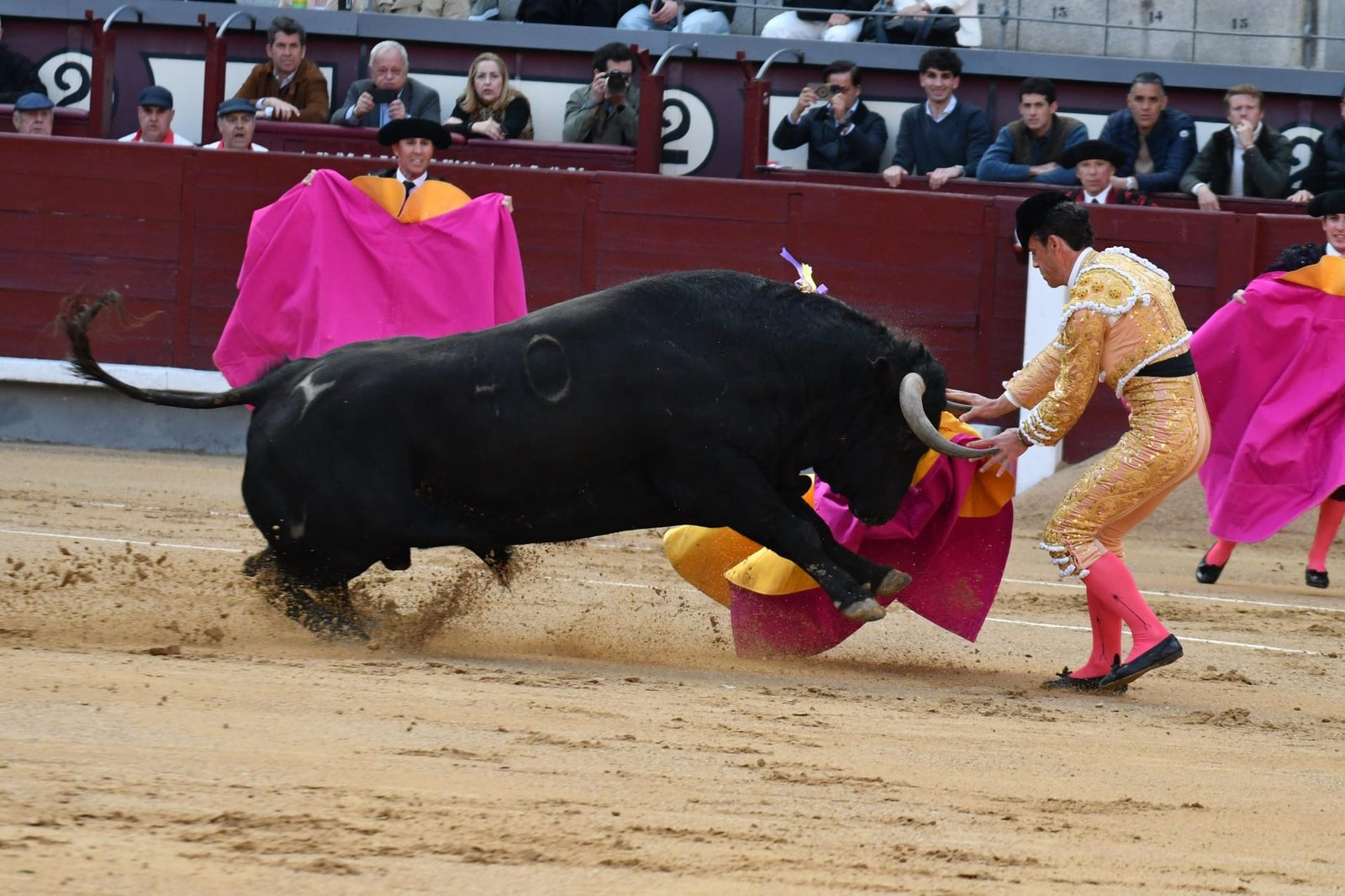 WhatsApp Image 2026 03 22 at 22.02.50 2