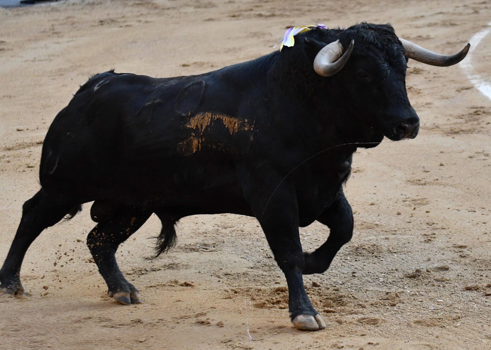 WhatsApp Image 2026 03 22 at 22.02.50