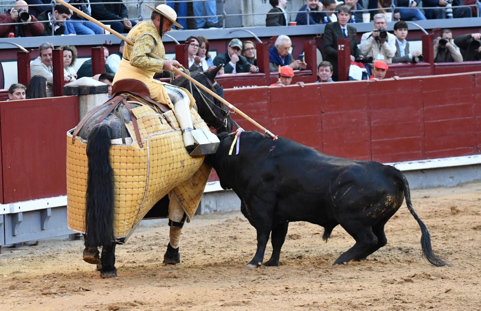 WhatsApp Image 2026 03 22 at 22.02.51