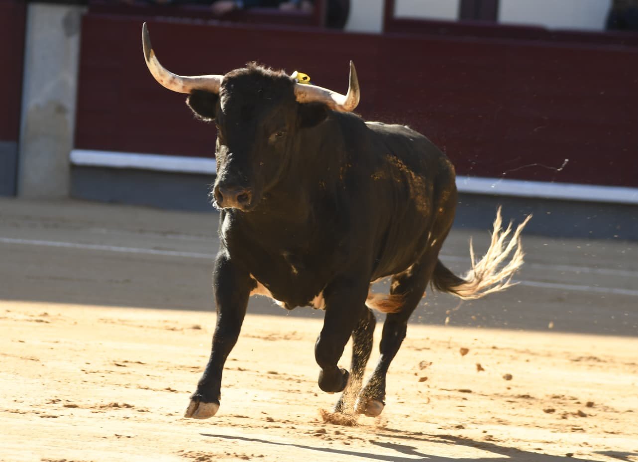 WhatsApp Image 2026 03 29 at 22.19.27 3