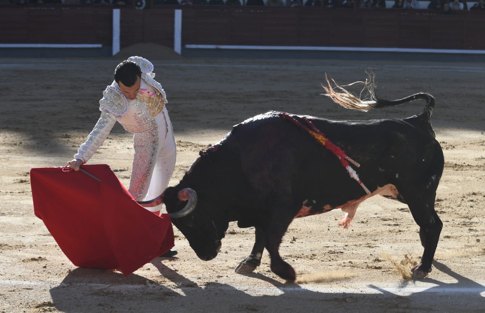 WhatsApp Image 2026 03 29 at 22.19.28 1