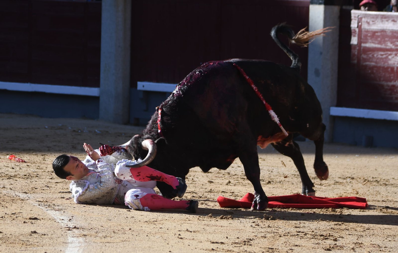 WhatsApp Image 2026 03 29 at 22.19.29