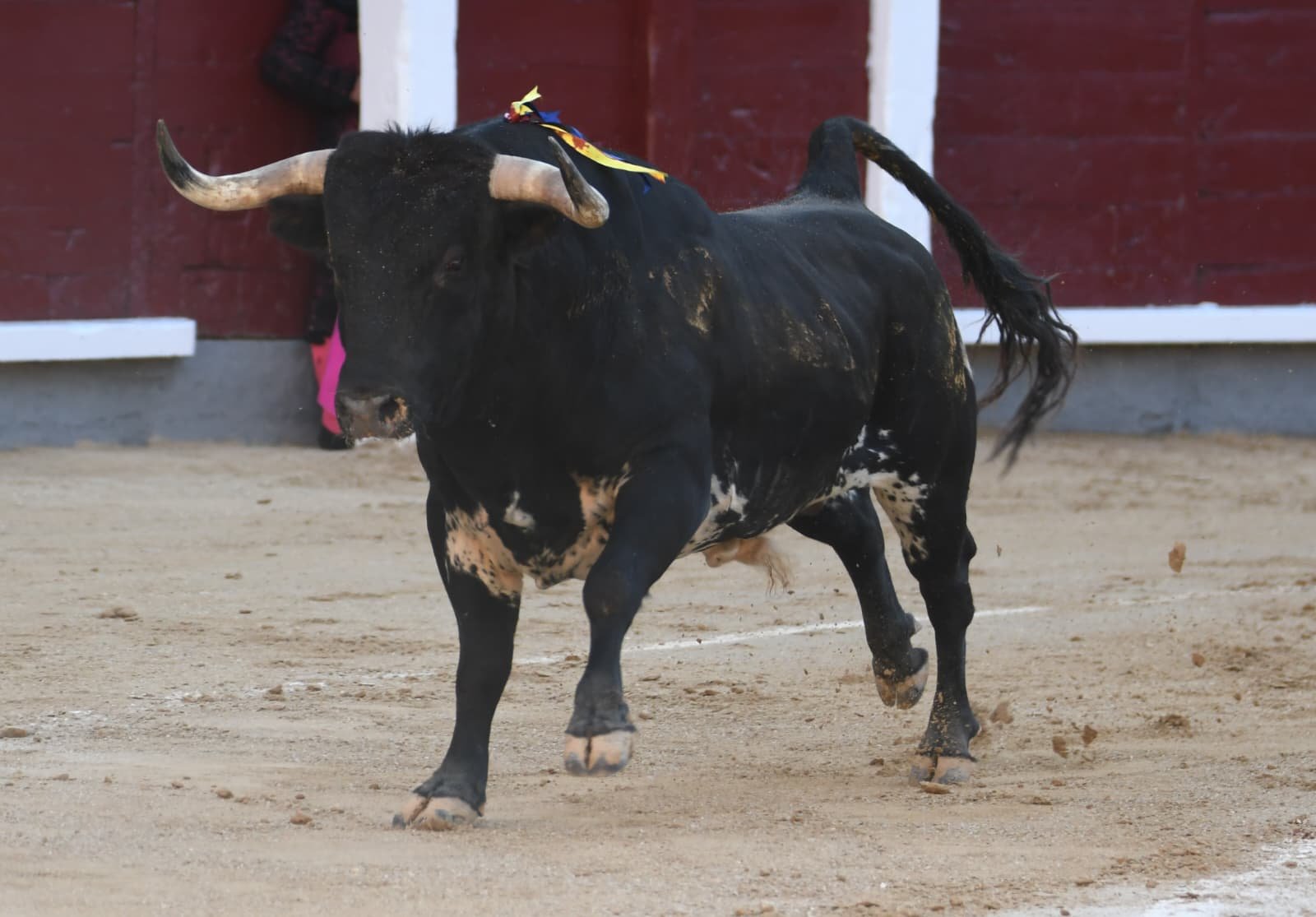 WhatsApp Image 2026 03 29 at 22.19.30 1