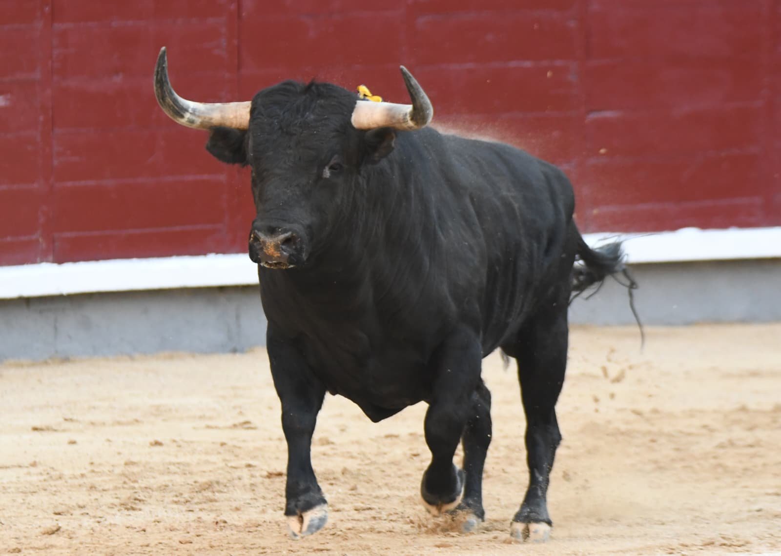 WhatsApp Image 2026 03 29 at 22.19.31 1