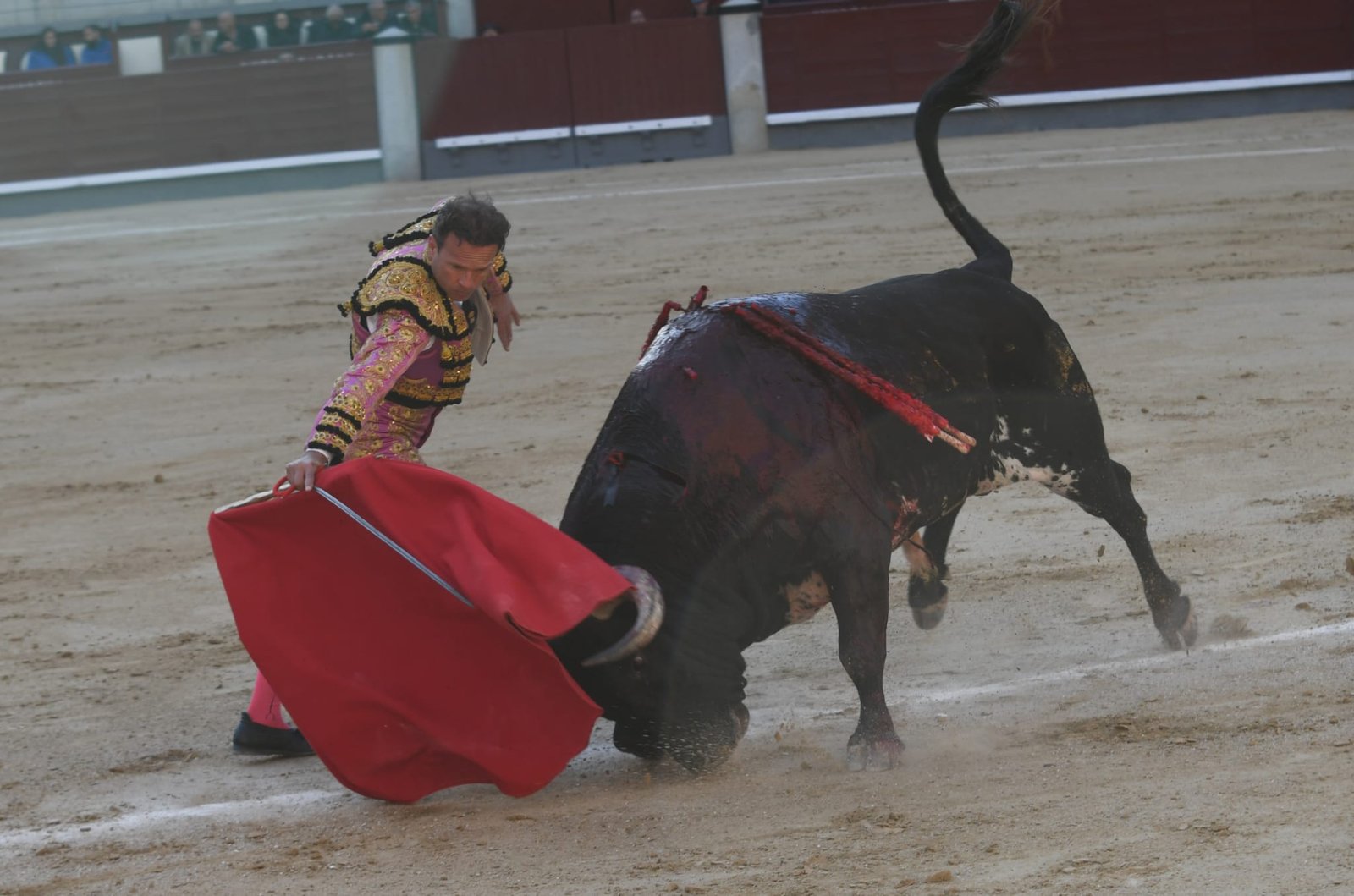 WhatsApp Image 2026 03 29 at 22.19.31