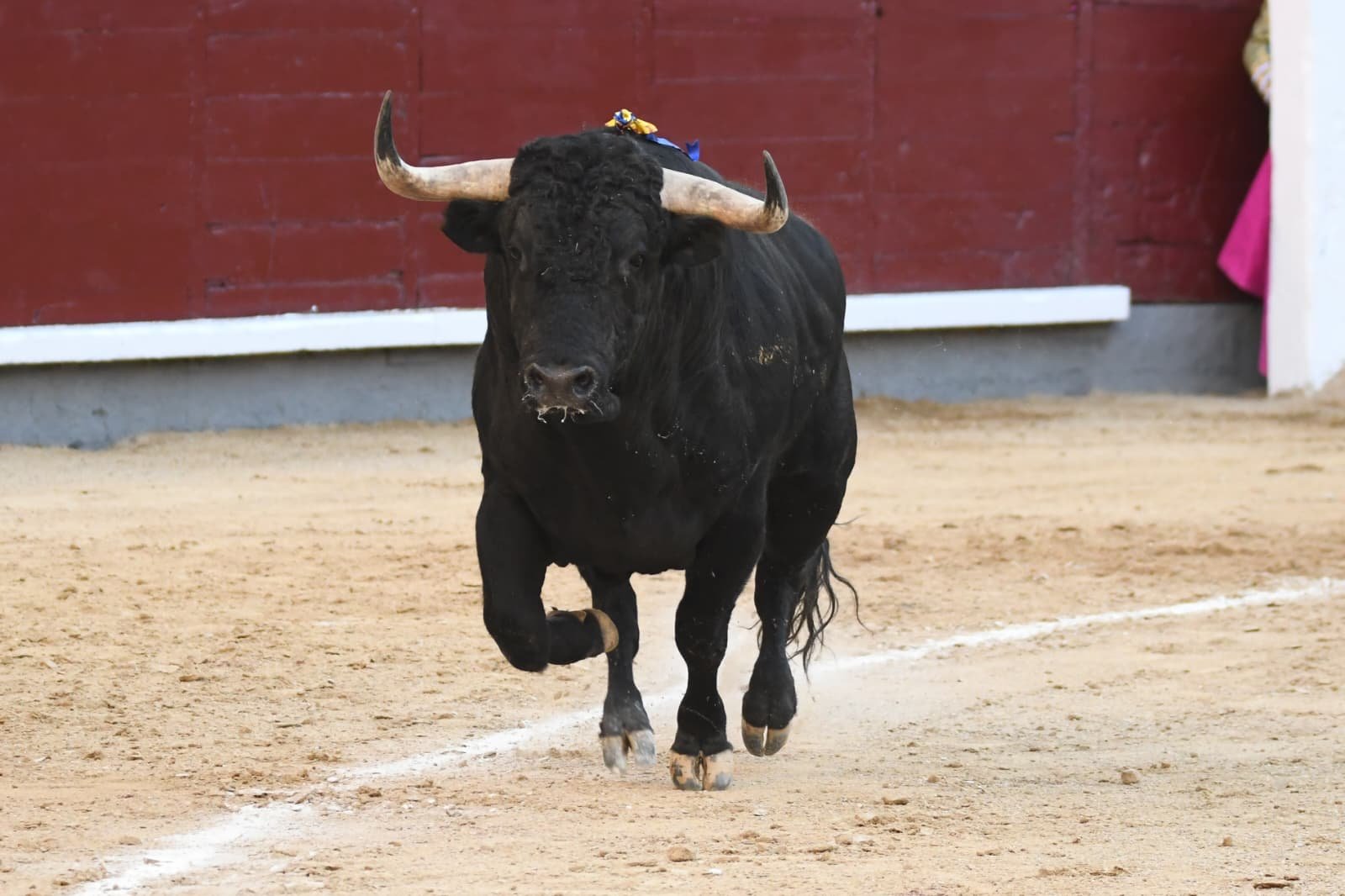 WhatsApp Image 2026 03 29 at 22.19.33 1