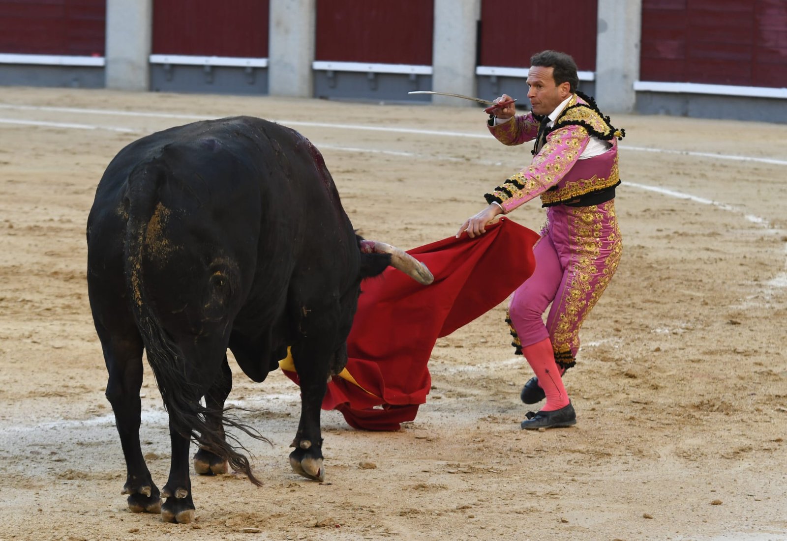 WhatsApp Image 2026 03 29 at 22.19.33