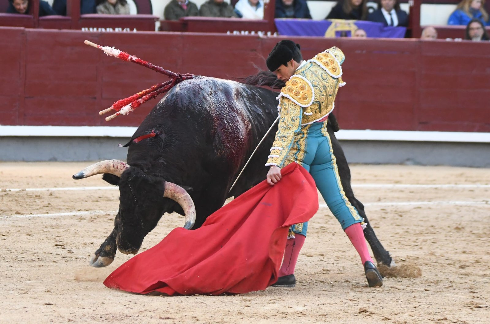 WhatsApp Image 2026 03 29 at 22.19.34 2