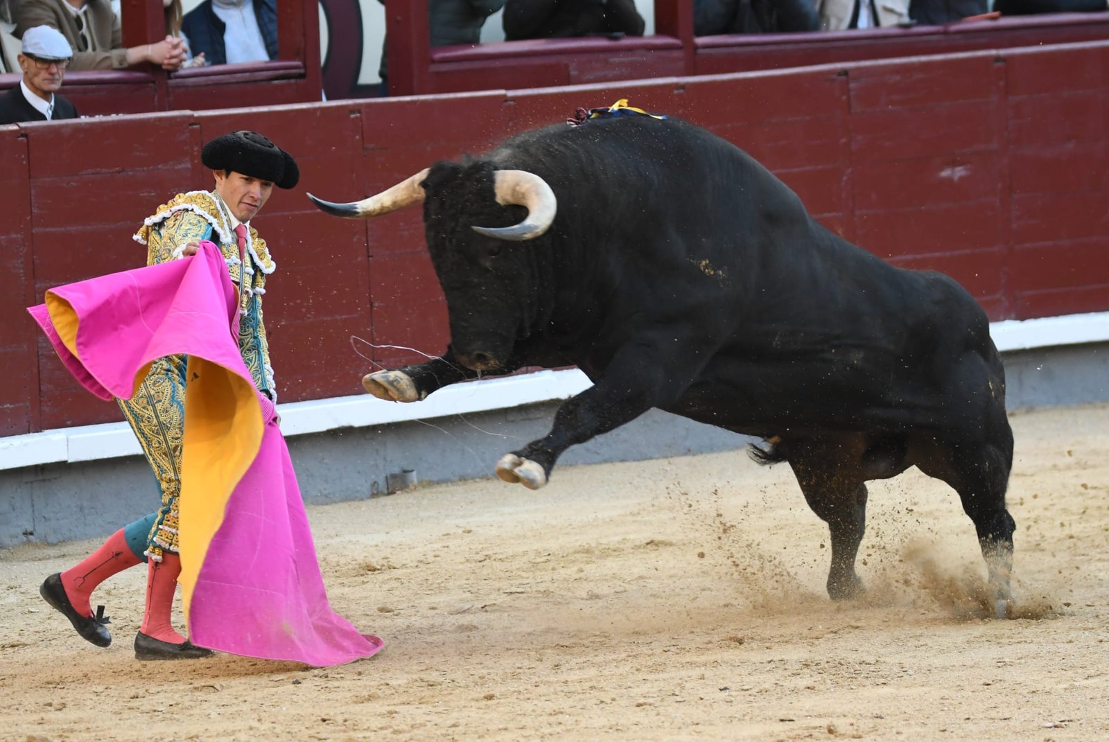 WhatsApp Image 2026 03 29 at 22.19.34