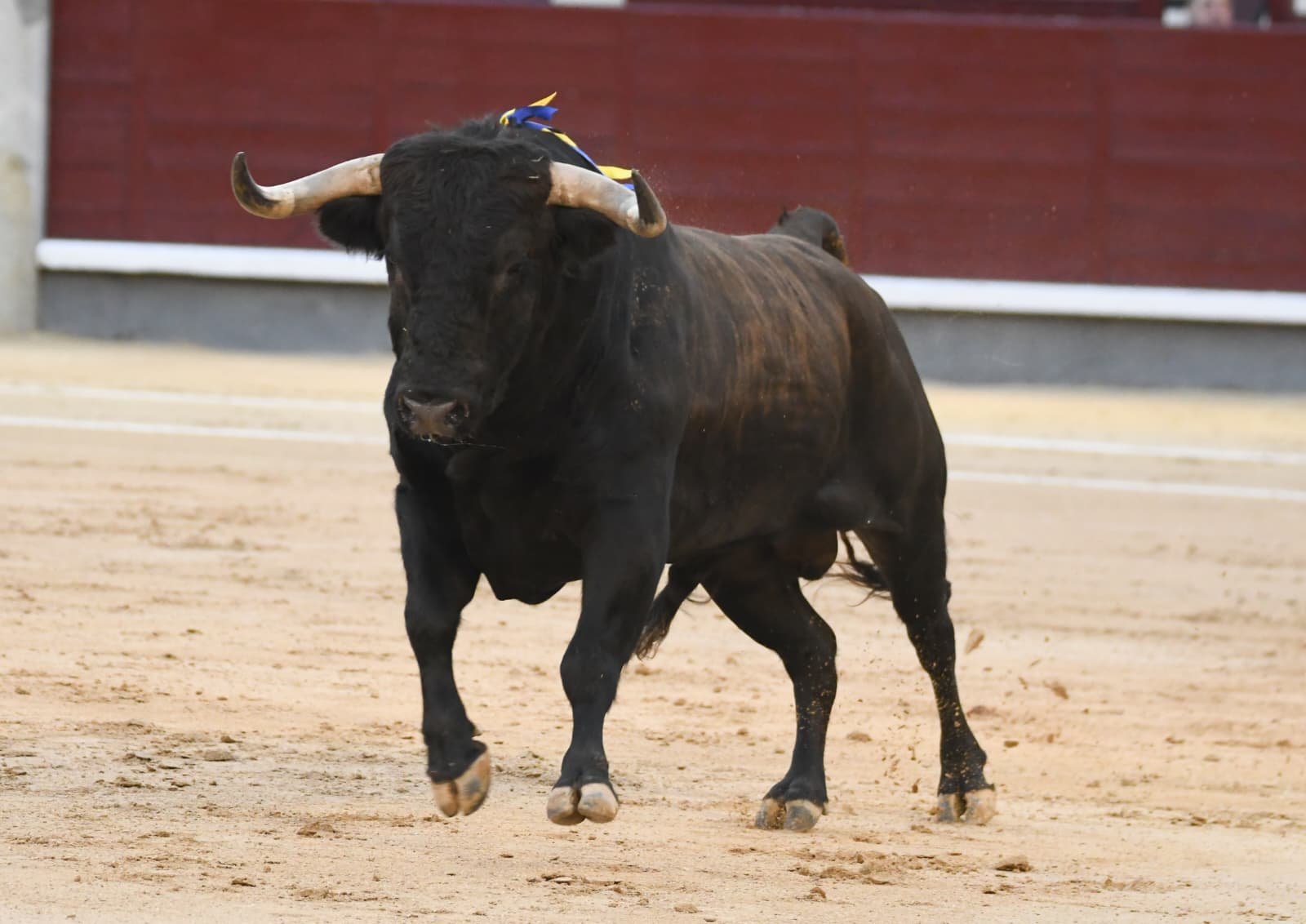 WhatsApp Image 2026 03 29 at 22.19.36 2