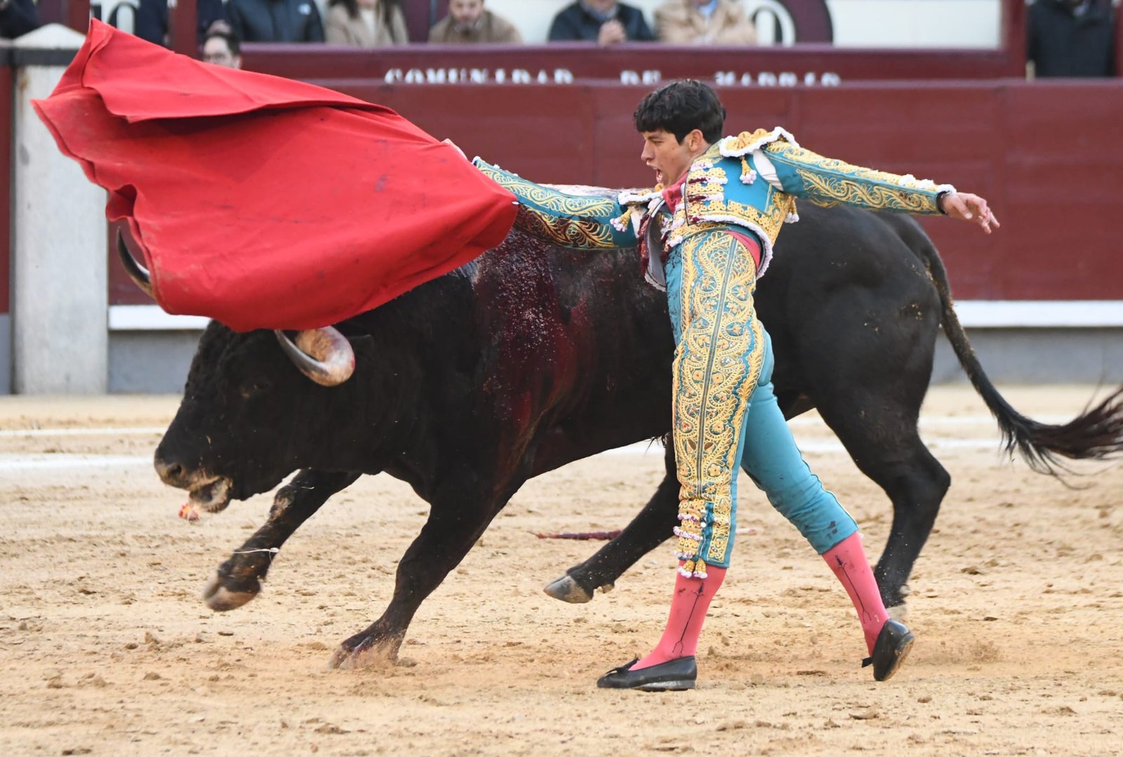 WhatsApp Image 2026 03 29 at 22.19.36