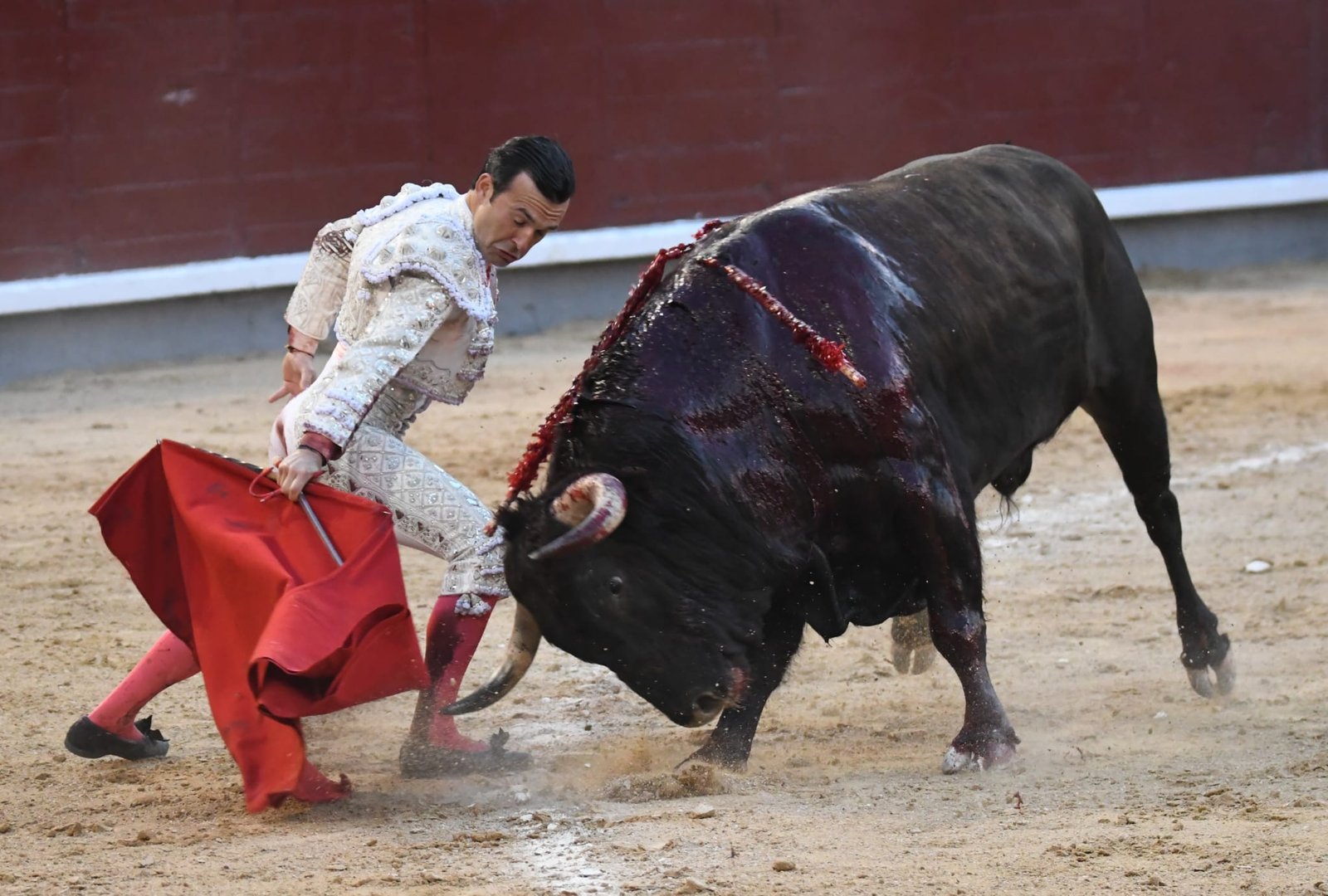 WhatsApp Image 2026 03 29 at 22.19.38 1