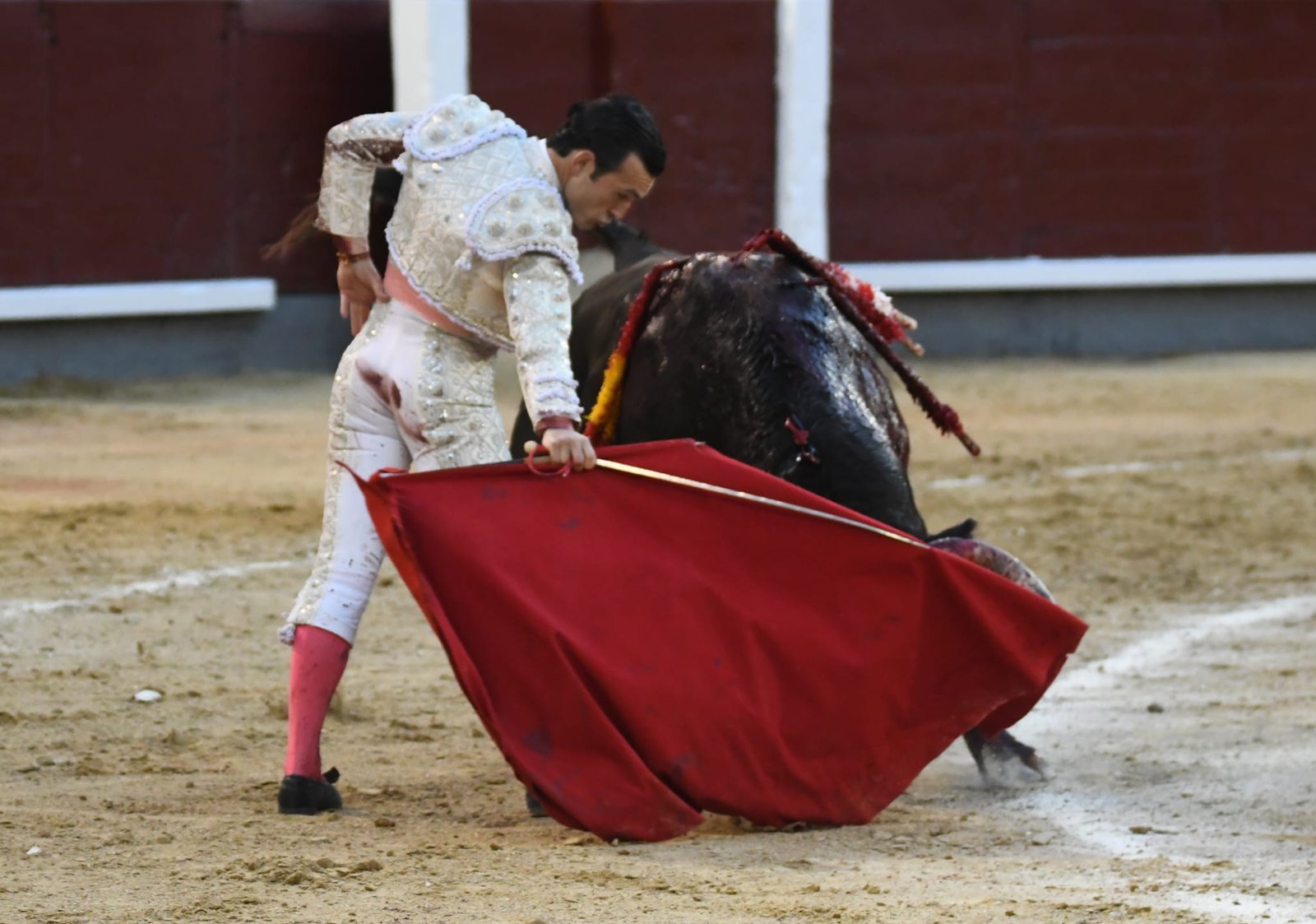 WhatsApp Image 2026 03 29 at 22.19.38 2