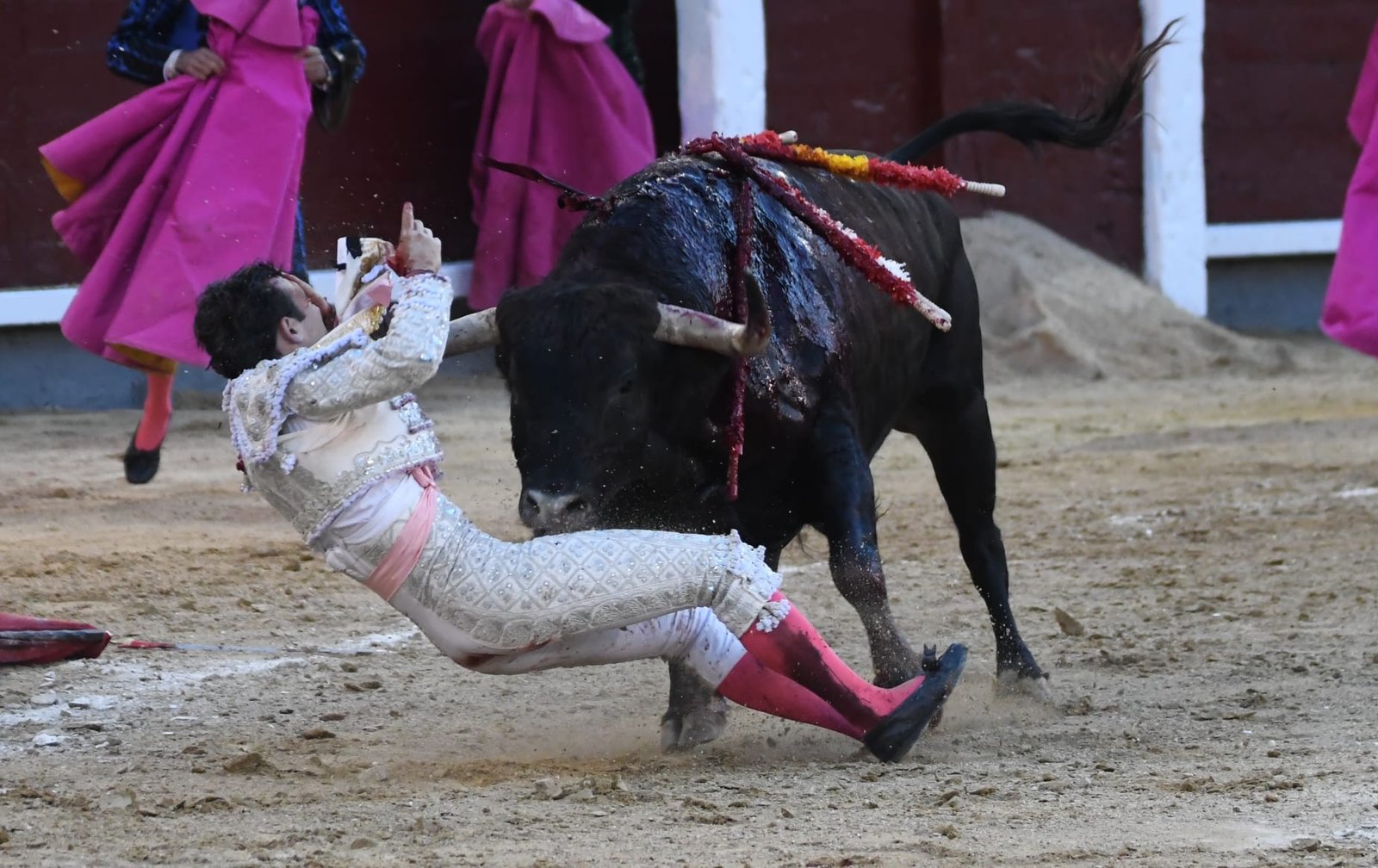 WhatsApp Image 2026 03 29 at 22.19.39 1