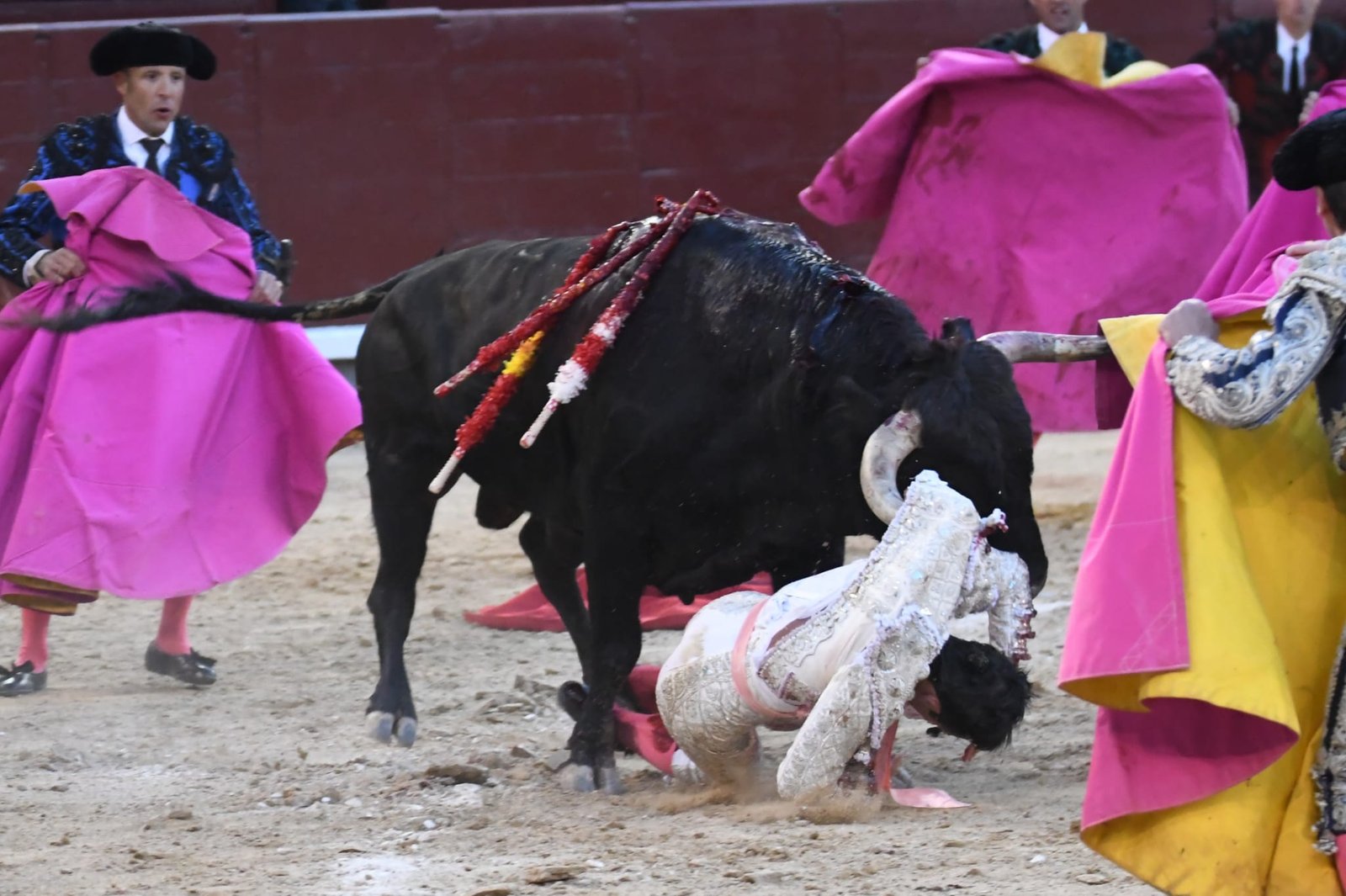 WhatsApp Image 2026 03 29 at 22.19.39 2