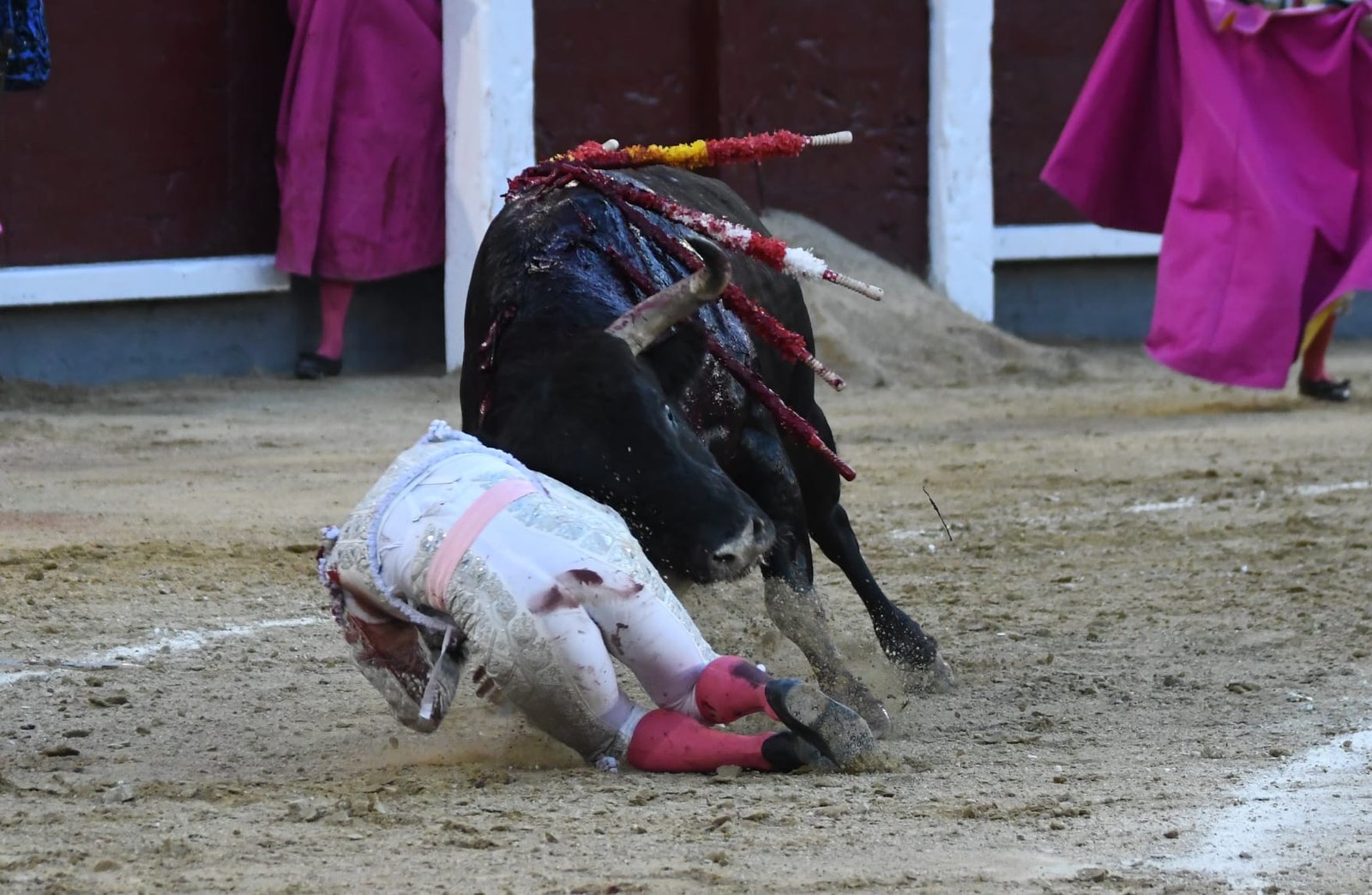 WhatsApp Image 2026 03 29 at 22.19.39