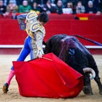 Castella pincha una faena de dos orejas ante un bravo Jandilla y Aguado deja el perfume