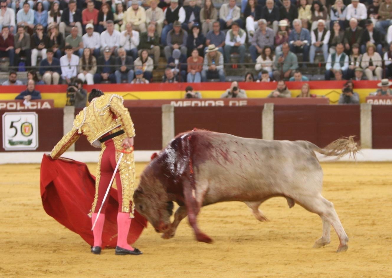 a096f8d5 88f1 41ac b57b 50a7be6304c6