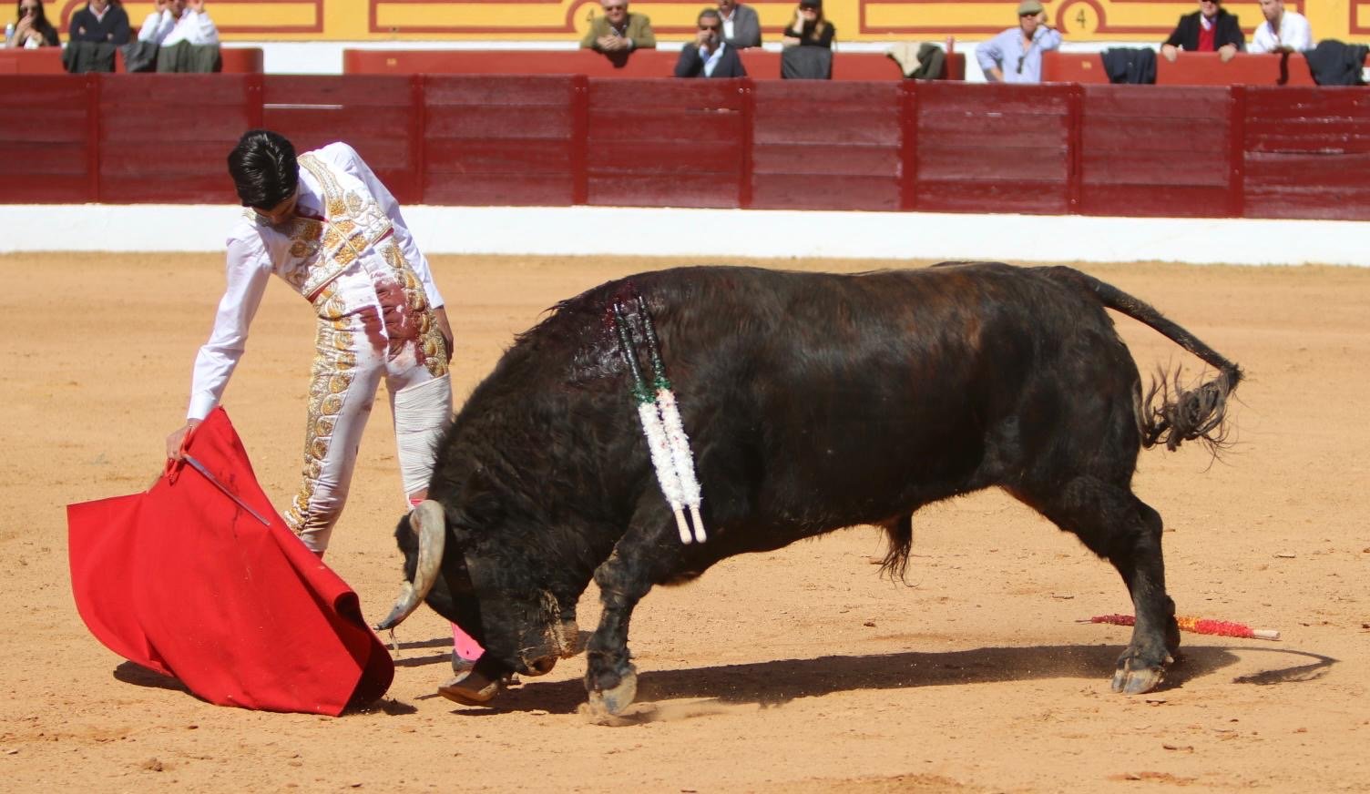 a4c269b1 b7b9 4dd2 bc17 f60e6de946f2