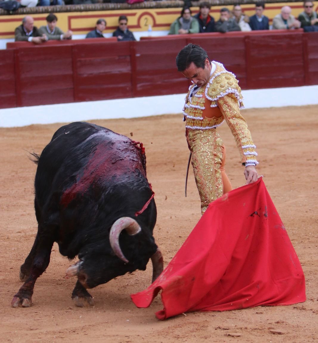 a790e705 a3e5 47ab a3b3 8bdf22a7fd40