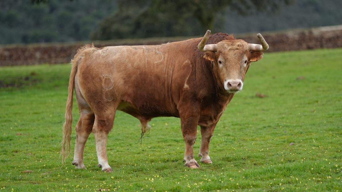 a9aac402 2028 e9fe b66e 228fab3ce15d Copy