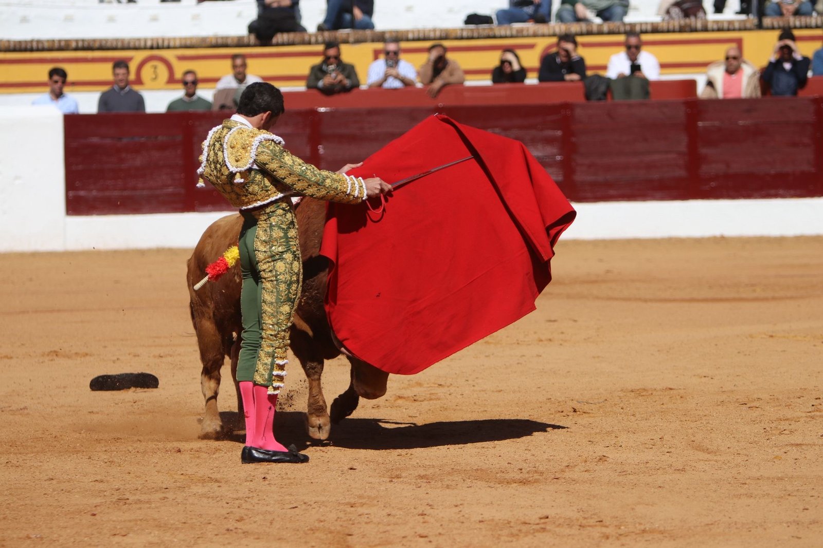 b0fa98a3 0395 40d9 b6c0 7e7308716844