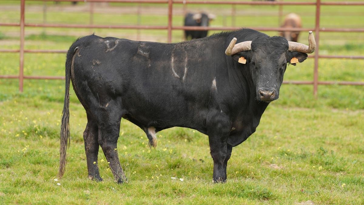 b5f42dd0 7be2 4494 7398 dd613f9612fb Copy