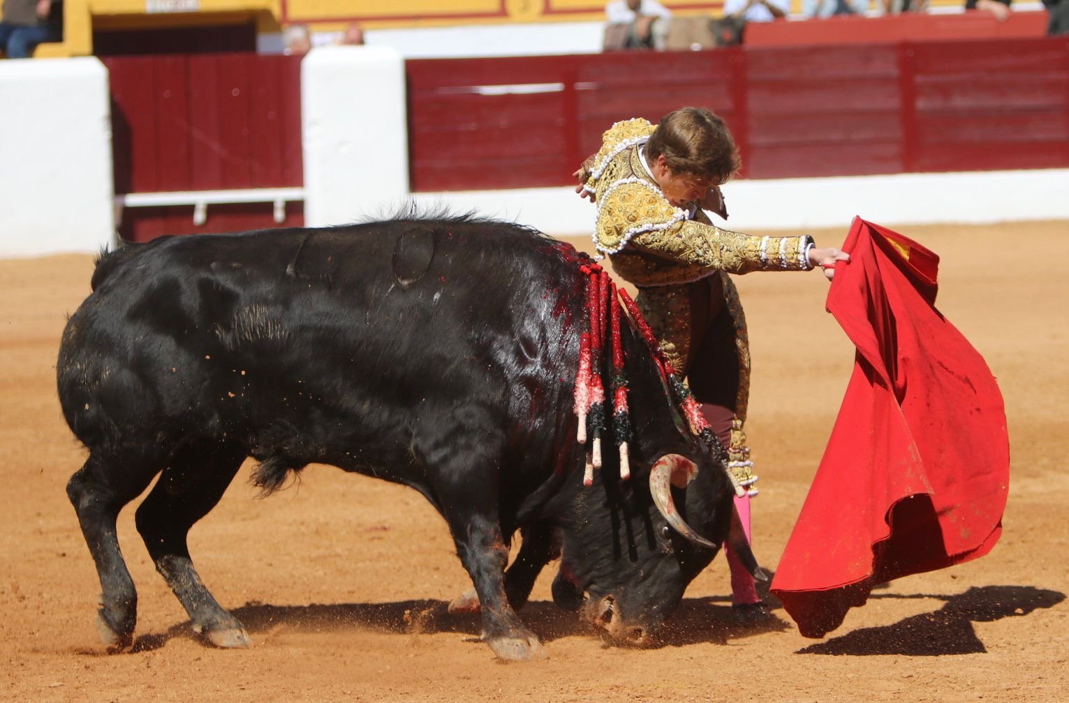 b659b381 fbb2 4c4d b10c b03b2159f2e5