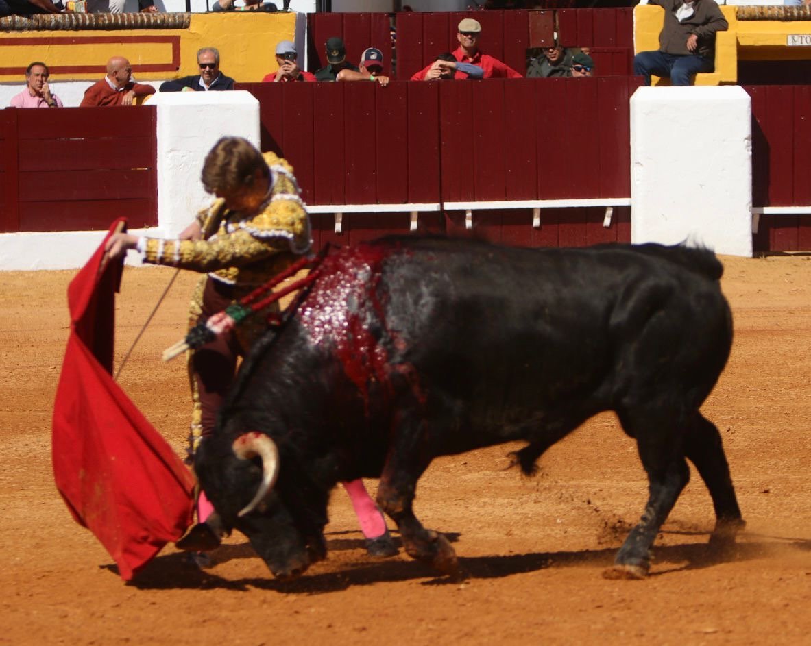 b790a94a ebd0 4f7a 97f6 6724e5e783d0