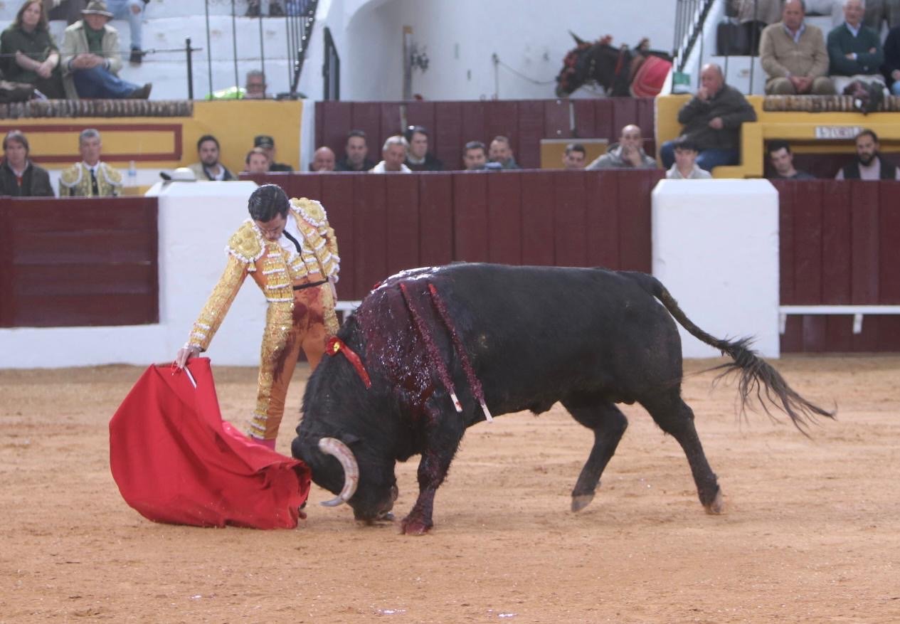 c17e7fa9 4c38 421e 8c08 44985f654eb3