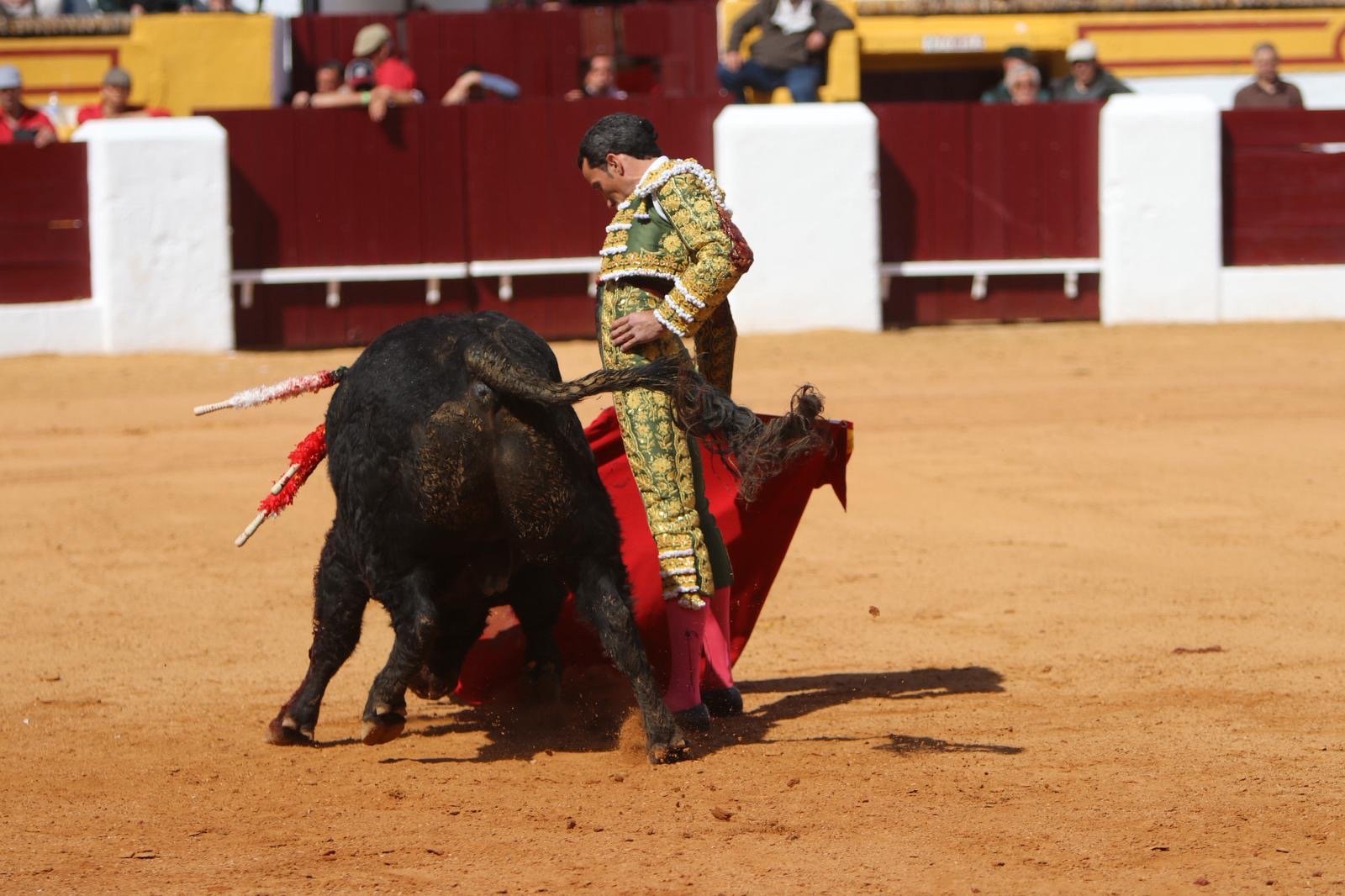 c1b9c910 26ee 40a8 953b e0521a071cac