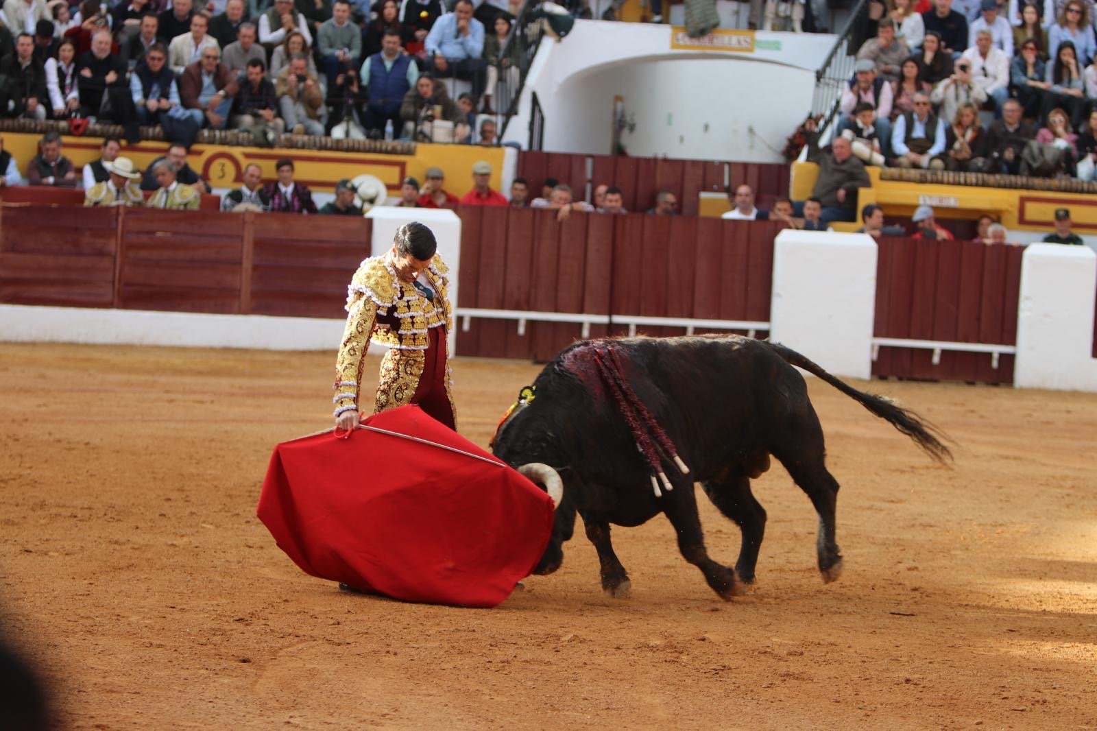 c60d49bf 8c39 4f69 8843 2b7888746214 1