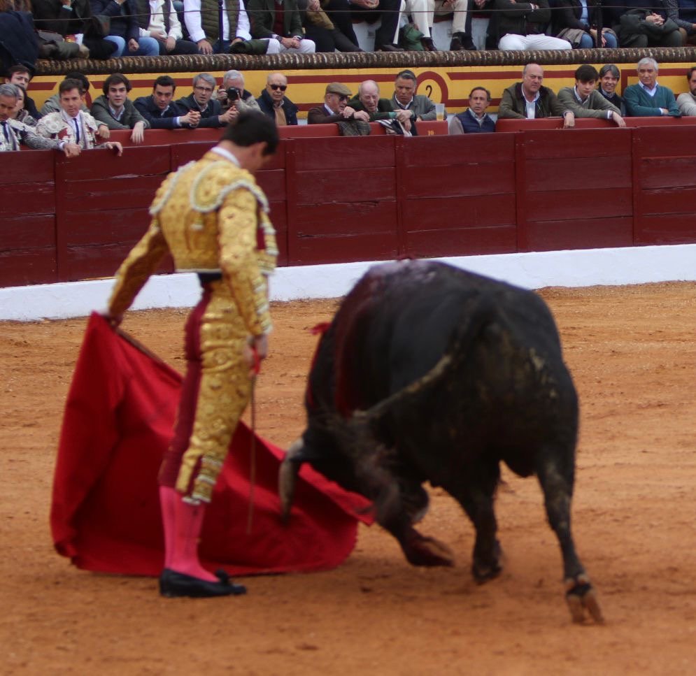 c7c15341 0393 4533 a023 8d87463345a5