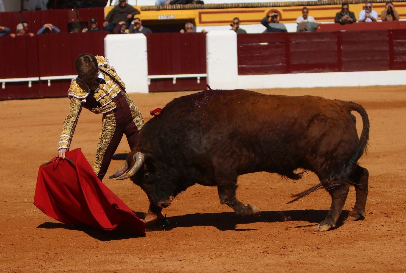 c8ad7355 f322 40f3 91a7 5076a58783a4