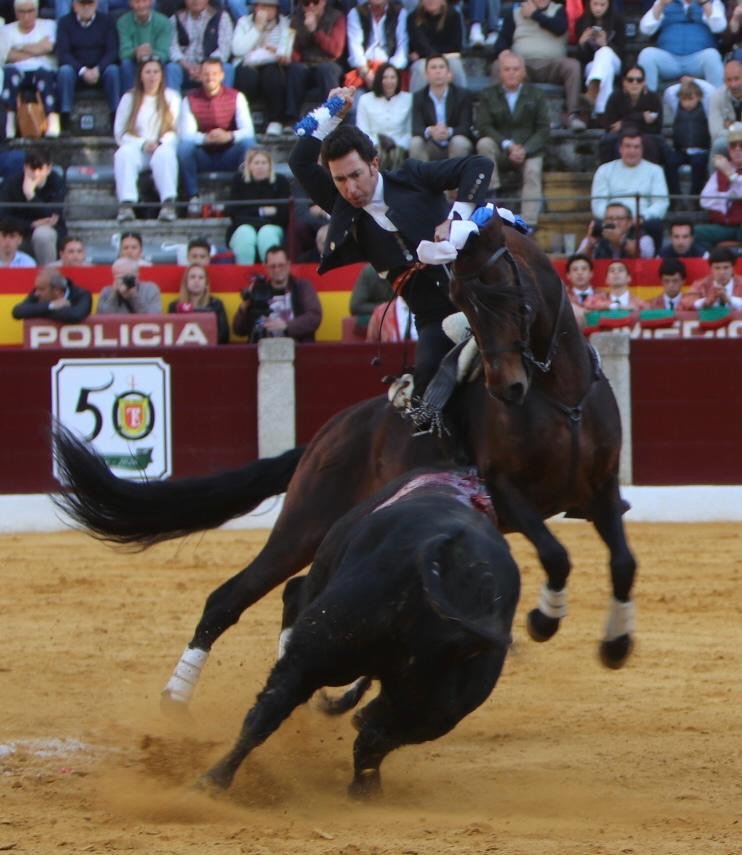 d0b41d4c f7ad 4c6a 9960 0ad0bae9e082