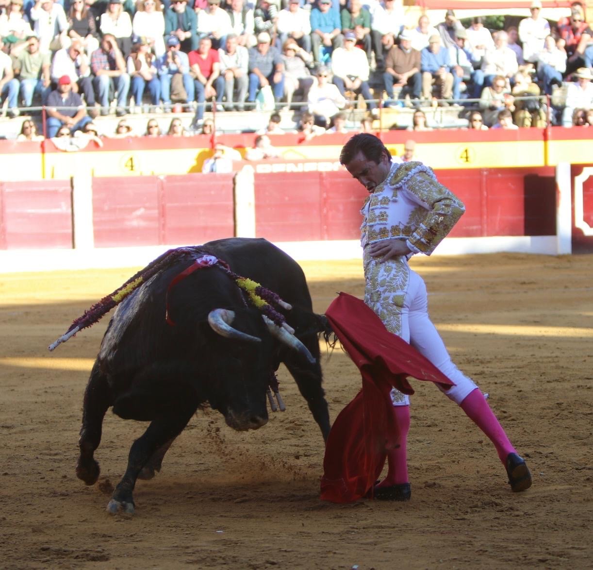 d1dfbd50 8363 4f52 9520 b601de13c30f