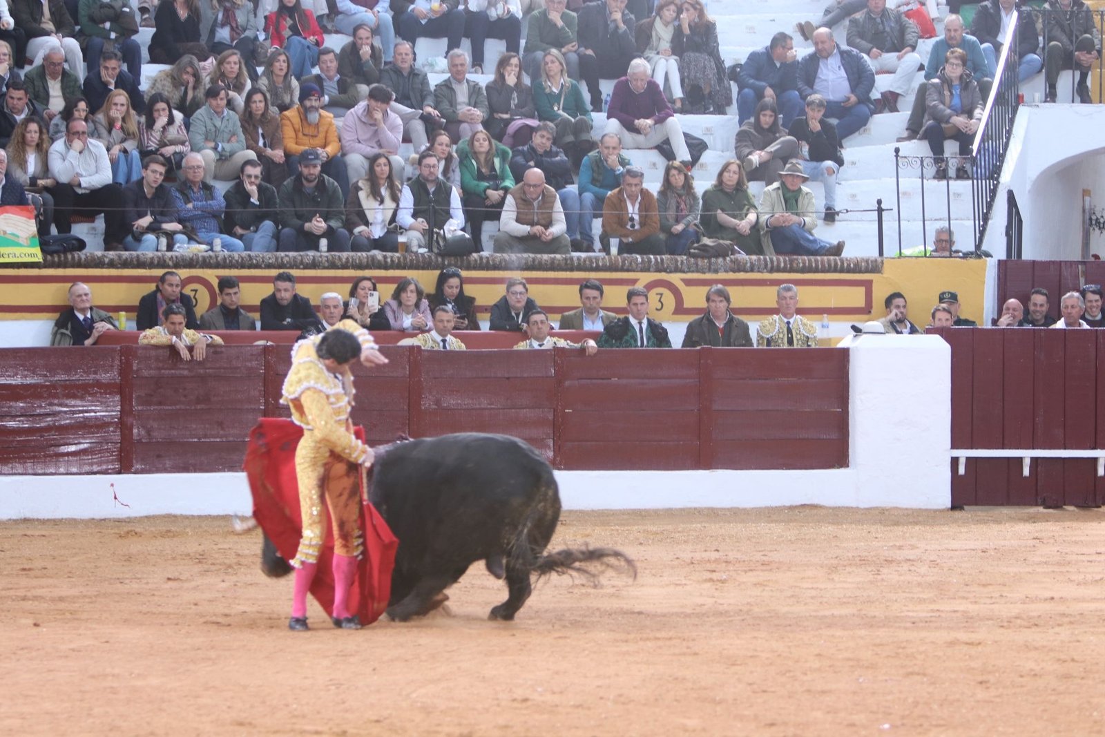 d2ecd5b9 82d7 449c aabd a85182b9b9b9