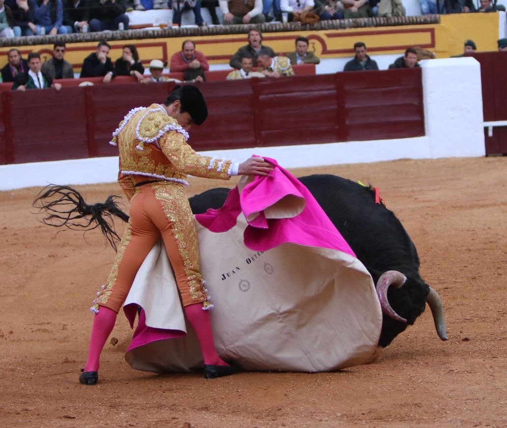 dbcf4e6b 2ede 49eb 8457 e2f5f6d2bc2d