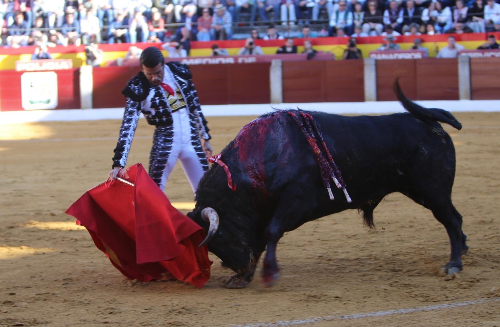 e13fd184 bcf1 4d6f ad4f 0a0d12b91d6d