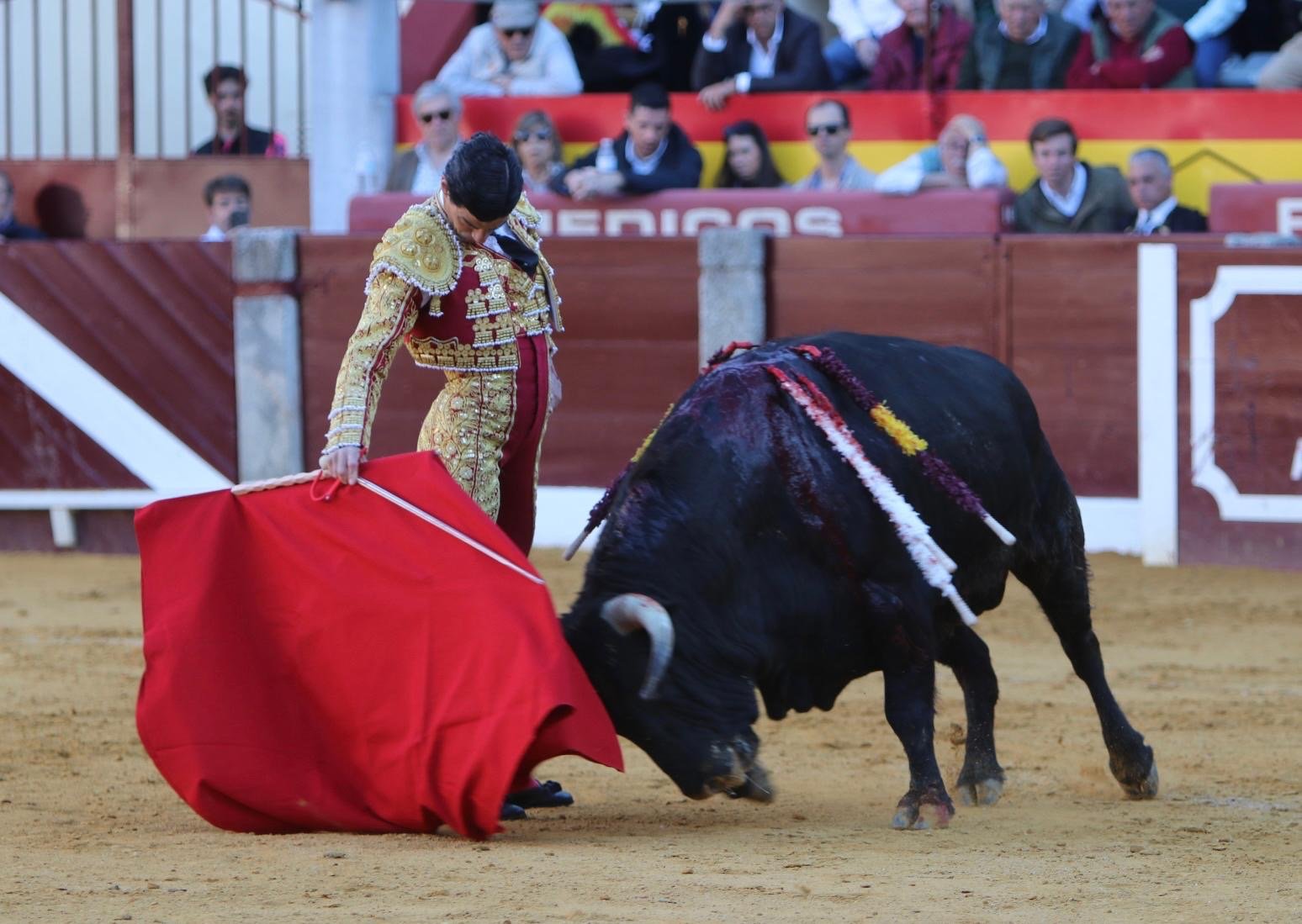 e2b726a2 5827 459e bd48 e53c6a55088a