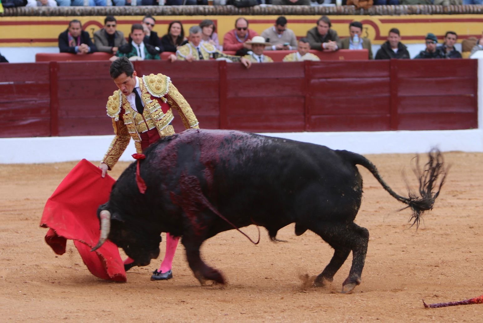 e392d2ca bf66 4a65 8f7d 01a50d3111c7