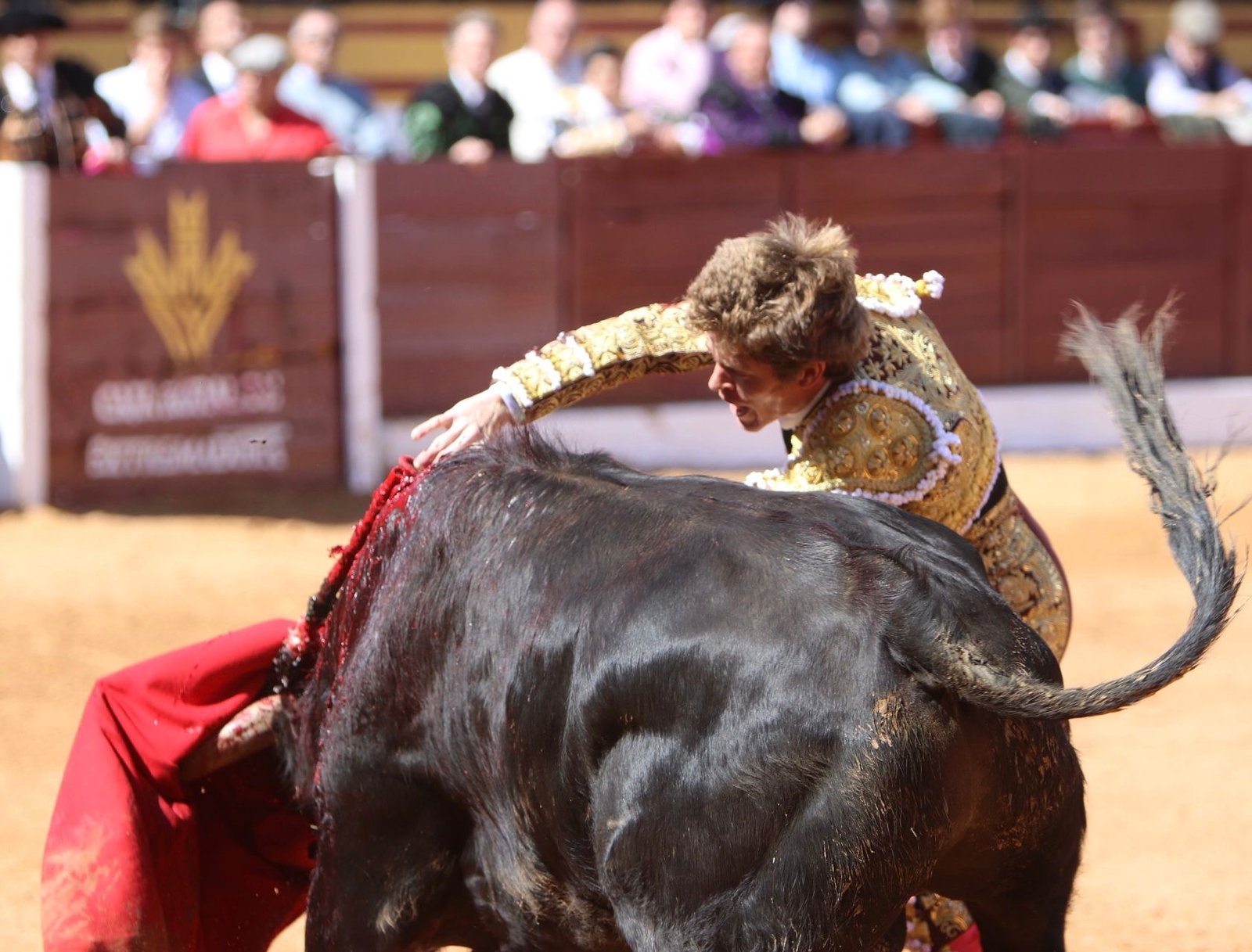 e3c906fc 04a5 4599 b169 4dbf0770e4d4