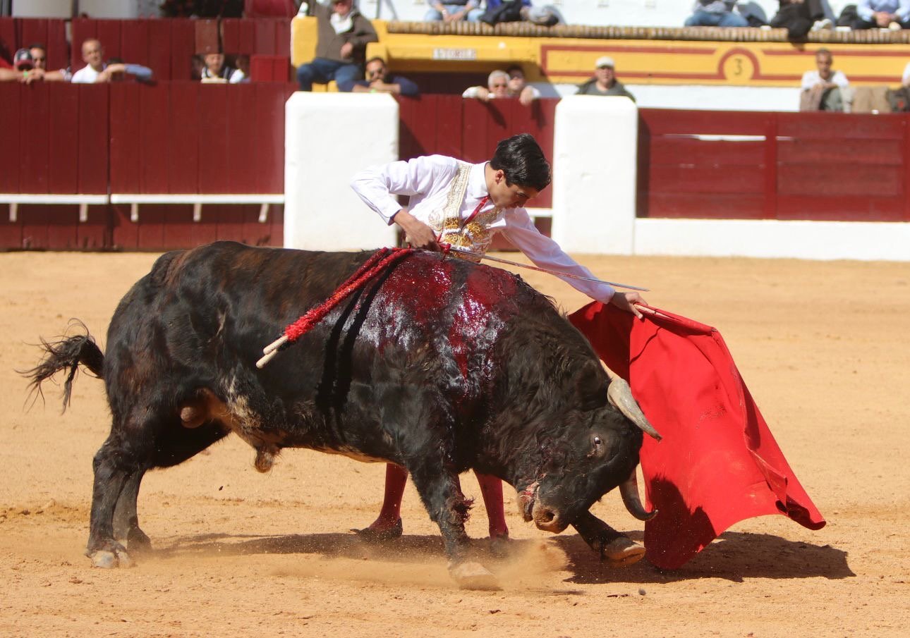 e6bc7d34 9cda 4219 923f 87f3a1100d51