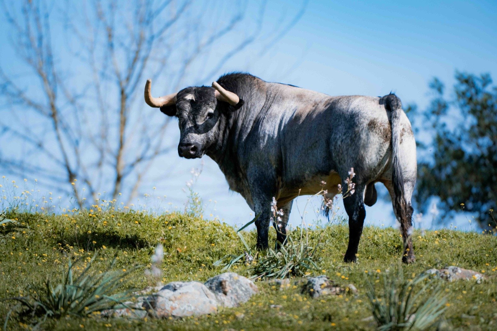 ecde317d 53de 4a09 6e3d 5fb62302b3eb