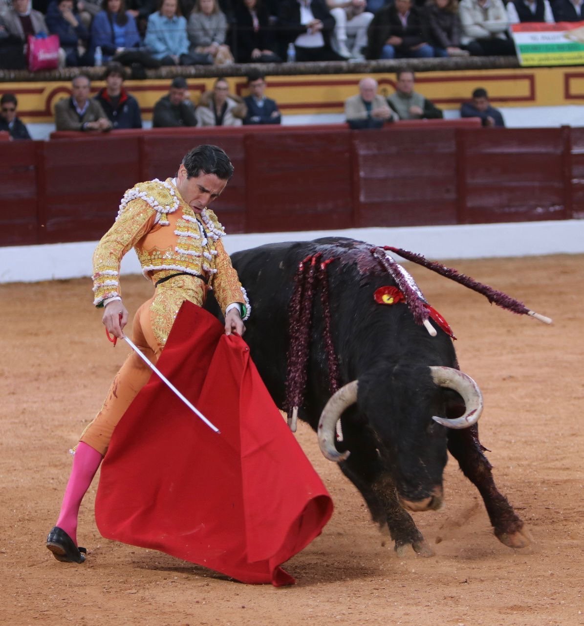 “Una oreja para Manzanares y vuelta al ruedo para ‘Pitilloso’ en la segunda de Olivenza”